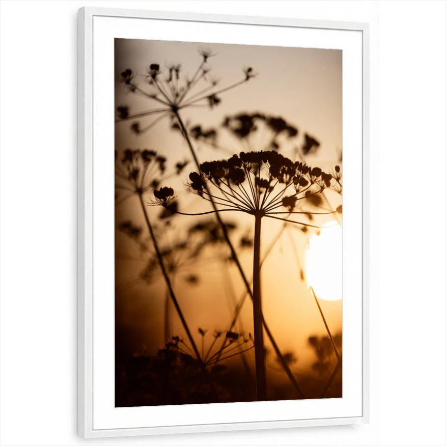 framed-print-white-matted