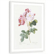 framed-print-white-matted