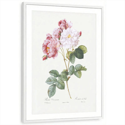 framed-print-white-matted