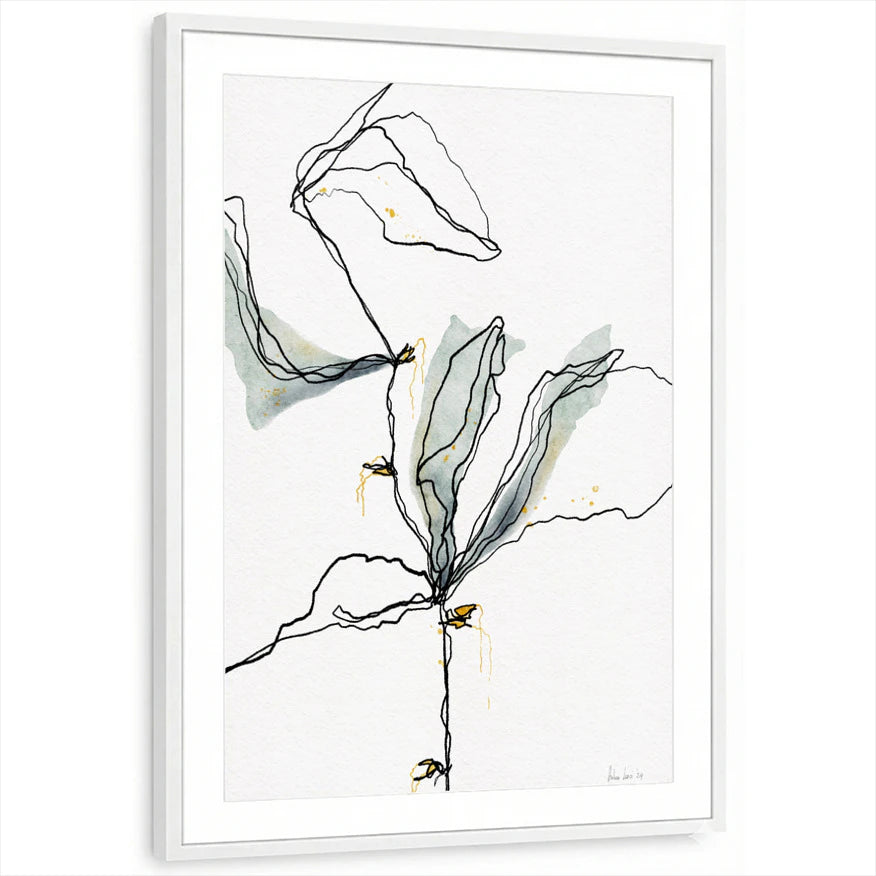 framed-print-white-matted