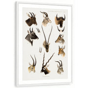 framed-print-white-matted