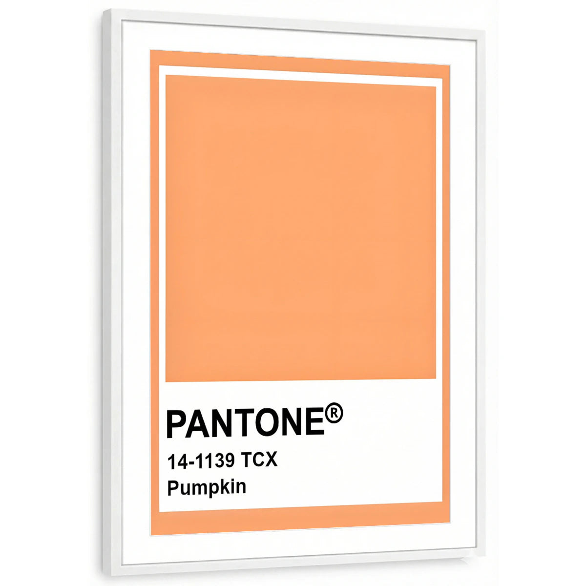 framed-print-white-matted