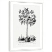 framed-print-white-matted
