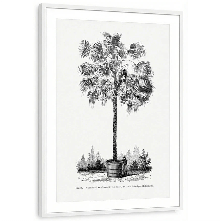 framed-print-white-matted