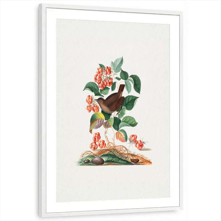 framed-print-white-matted