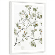 framed-print-white-matted
