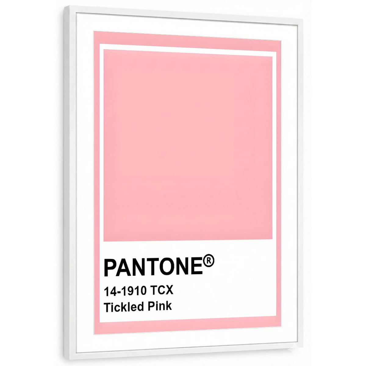 framed-print-white-matted