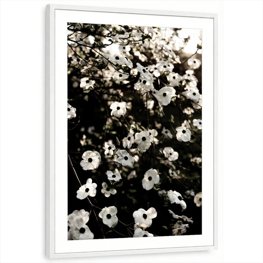 framed-print-white-matted