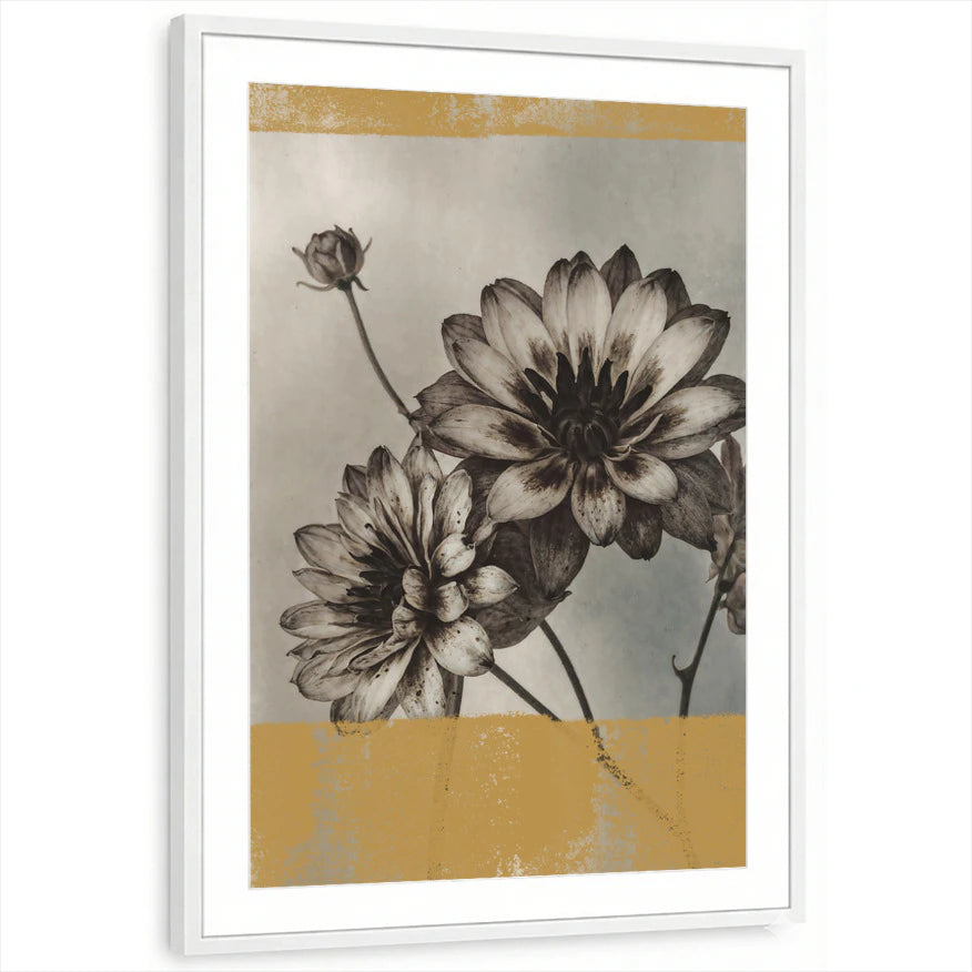 framed-print-white-matted