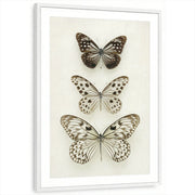framed-print-white-matted