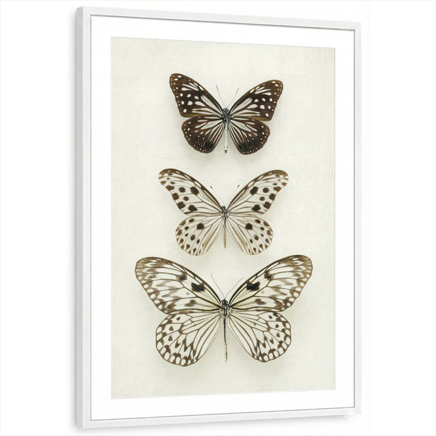 framed-print-white-matted