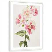 framed-print-white-matted