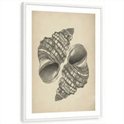 framed-print-white-matted
