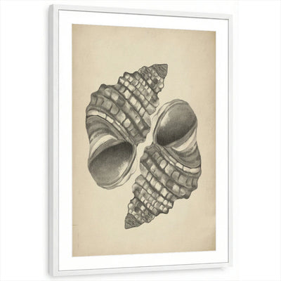 framed-print-white-matted