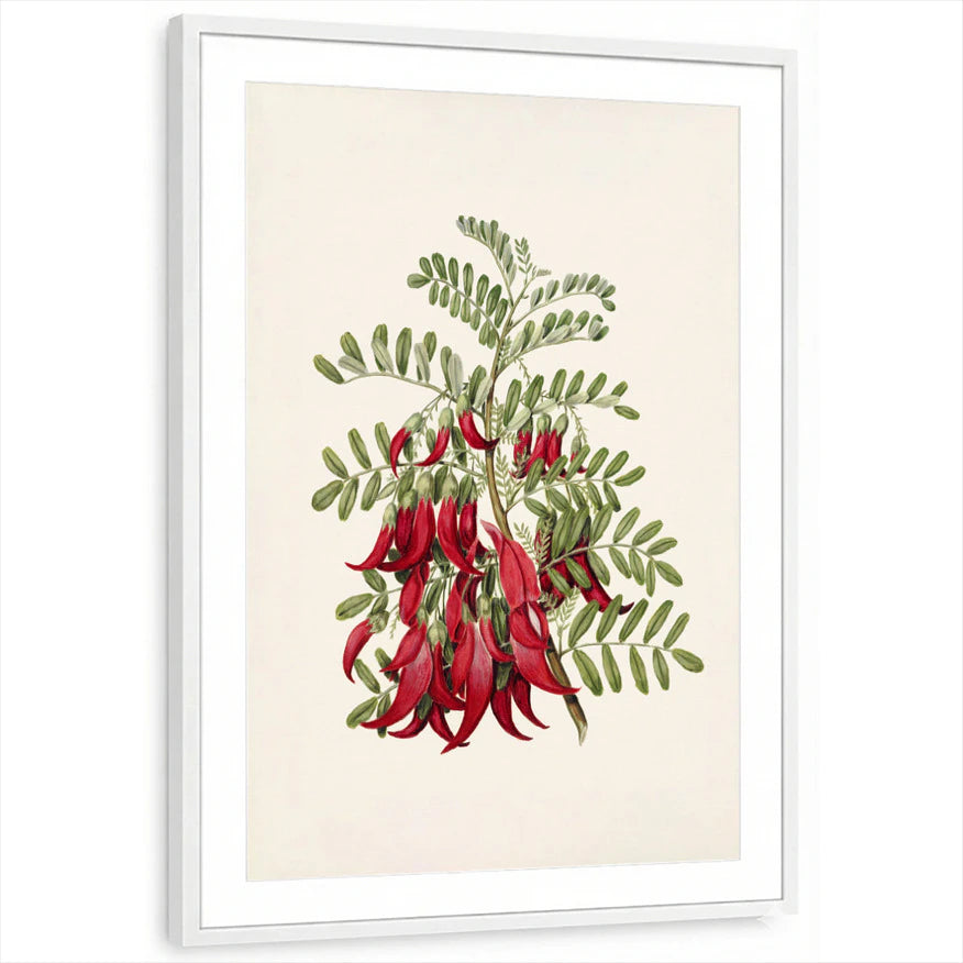 framed-print-white-matted