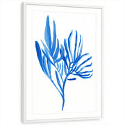 framed-print-white-matted