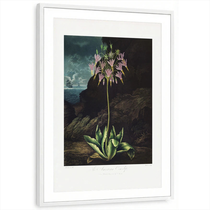 framed-print-white-matted