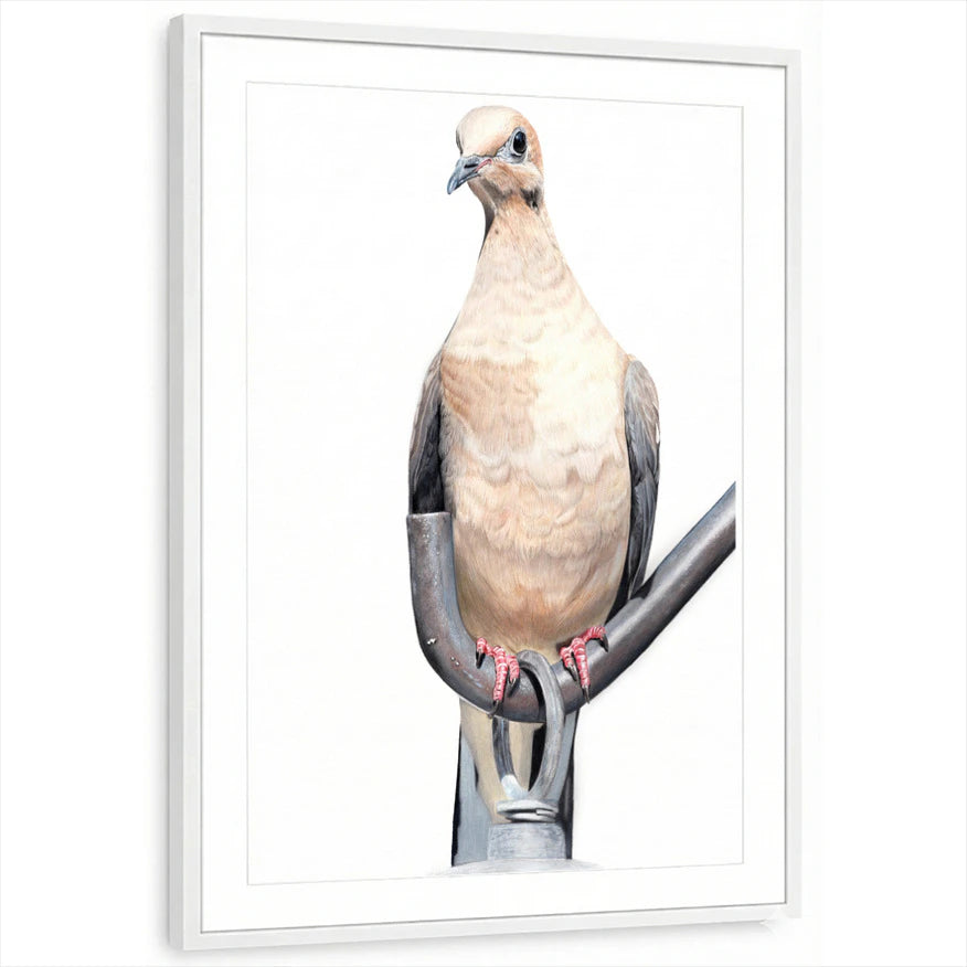 framed-print-white-matted
