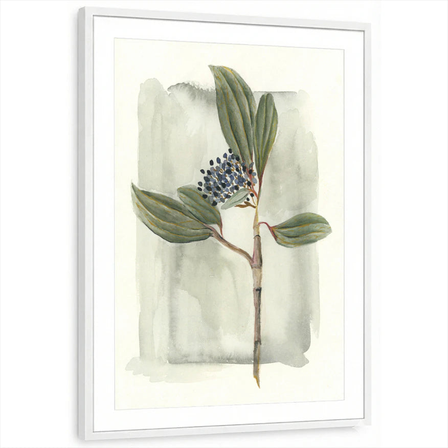 framed-print-white-matted