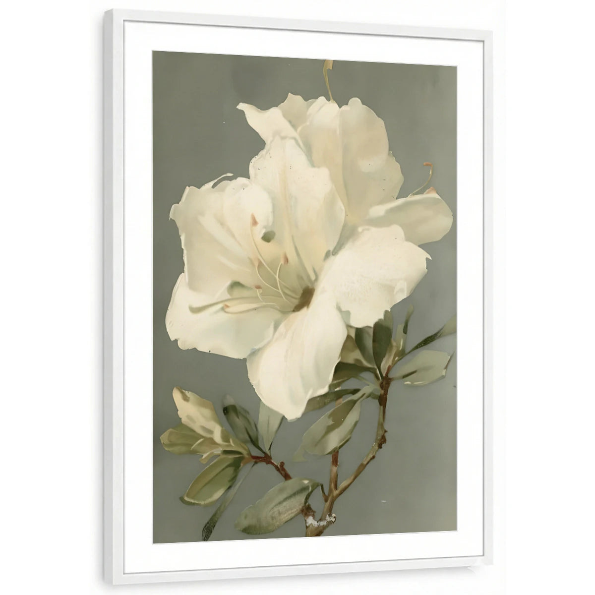 framed-print-white-matted