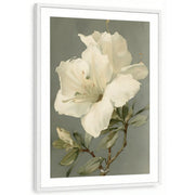 framed-print-white-matted