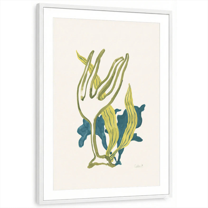 framed-print-white-matted