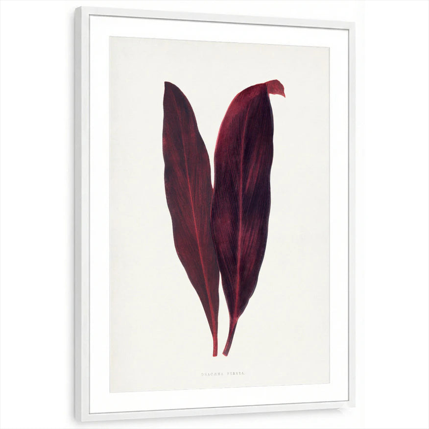 framed-print-white-matted