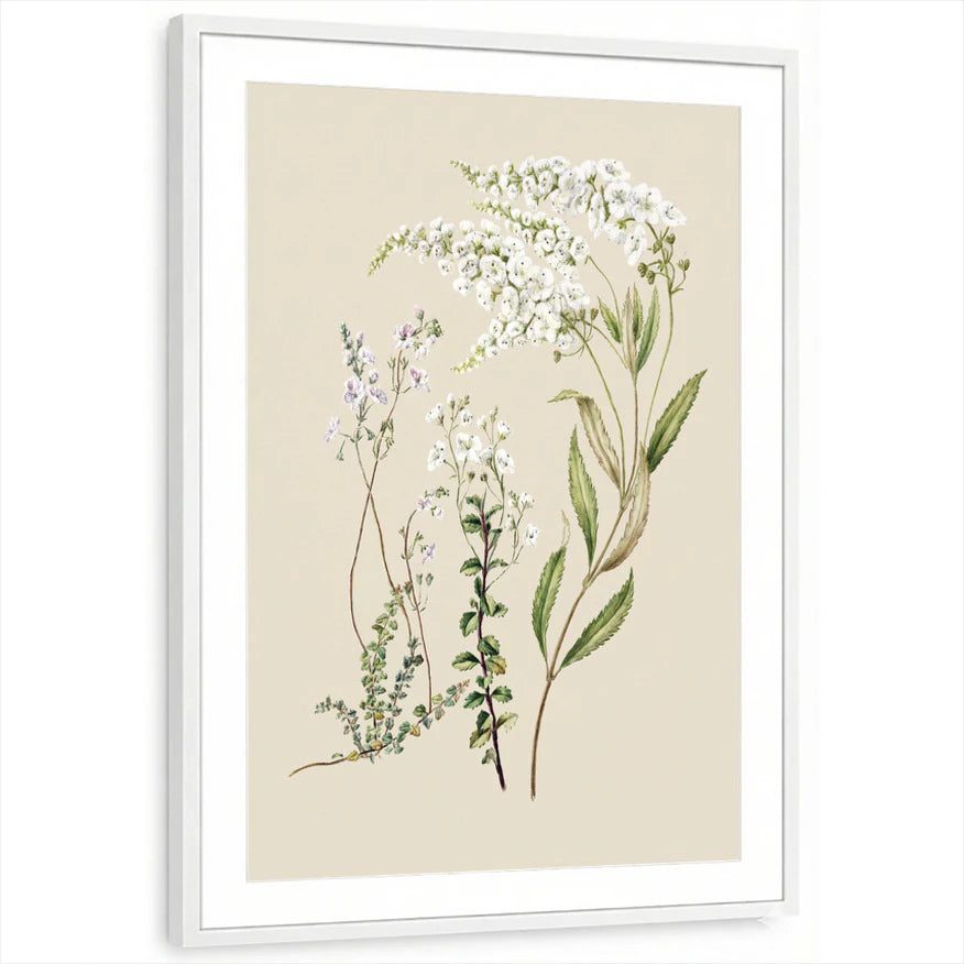framed-print-white-matted