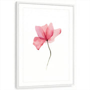 framed-print-white-matted