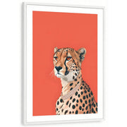 framed-print-white-matted