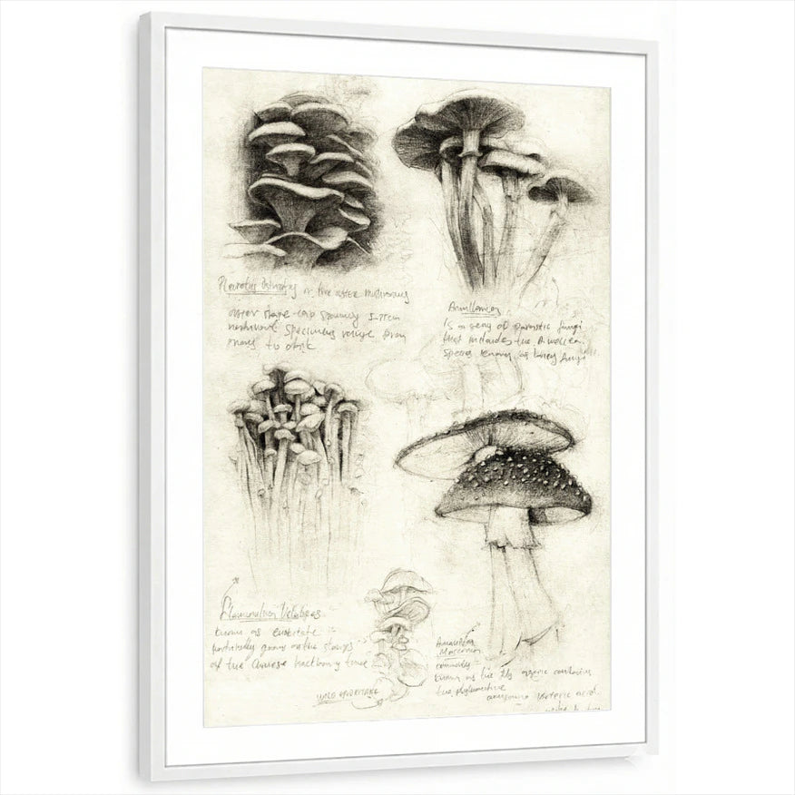 framed-print-white-matted