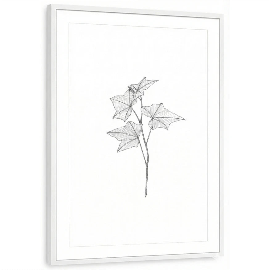 framed-print-white-matted