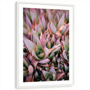 framed-print-white-matted