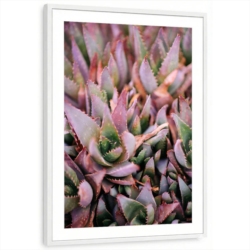 framed-print-white-matted