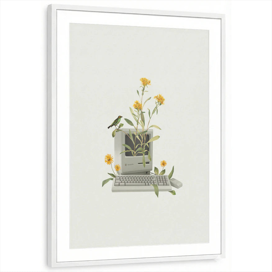 framed-print-white-matted