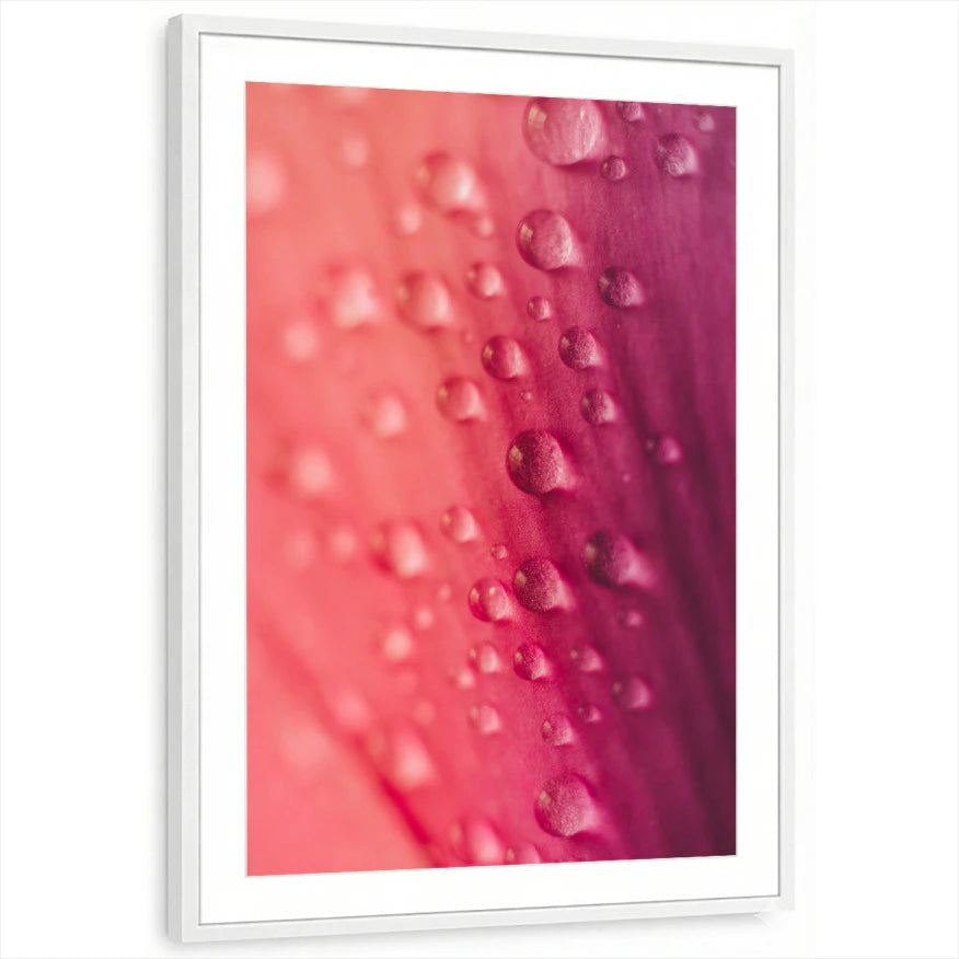 framed-print-white-matted