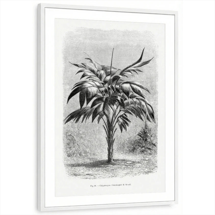 framed-print-white-matted
