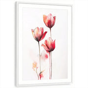 framed-print-white-matted