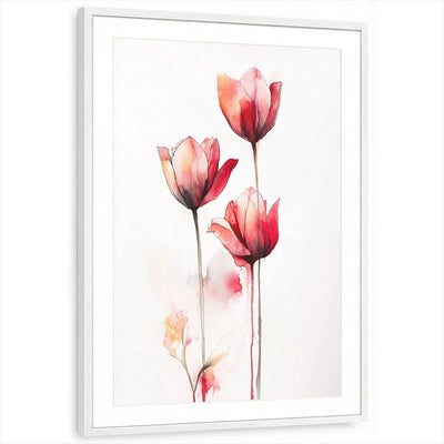 framed-print-white-matted
