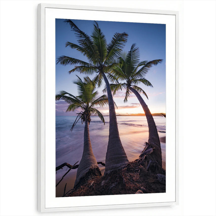 framed-print-white-matted