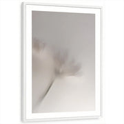 framed-print-white-matted