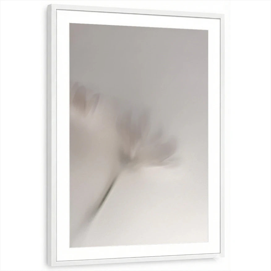 framed-print-white-matted