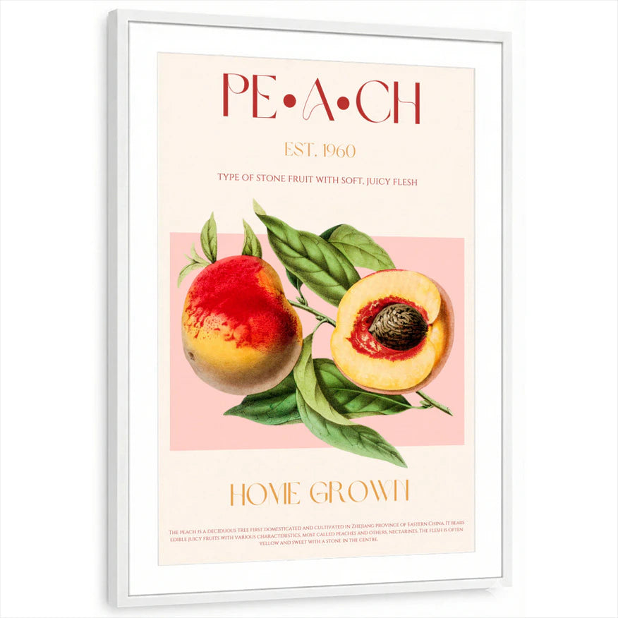 framed-print-white-matted
