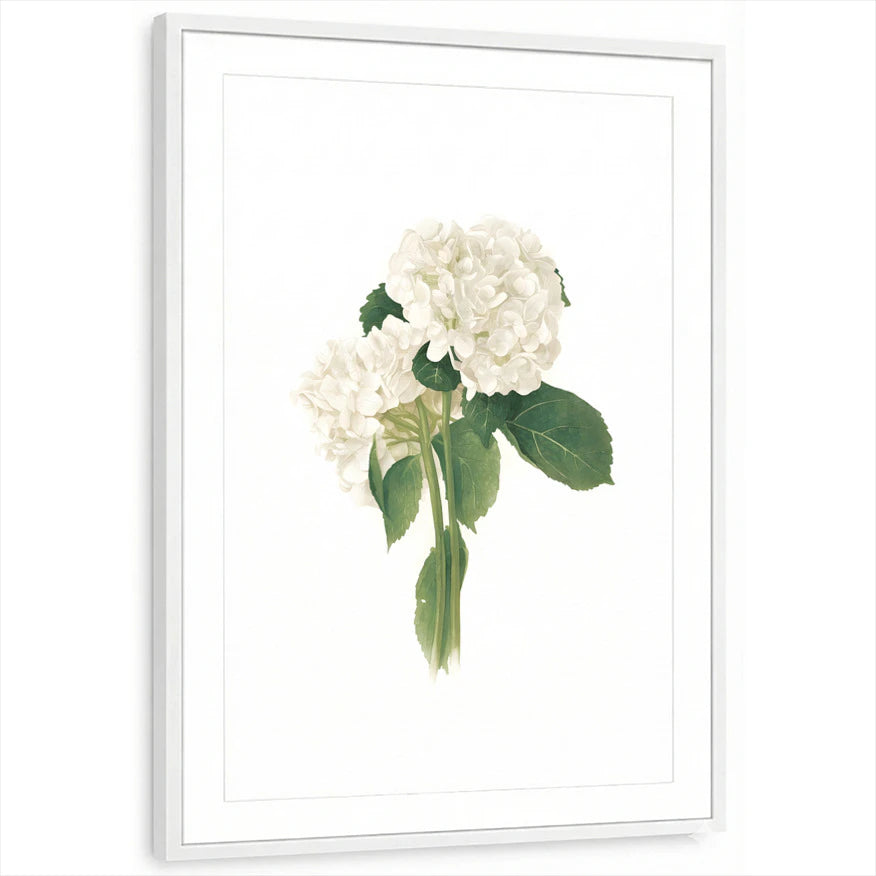 framed-print-white-matted