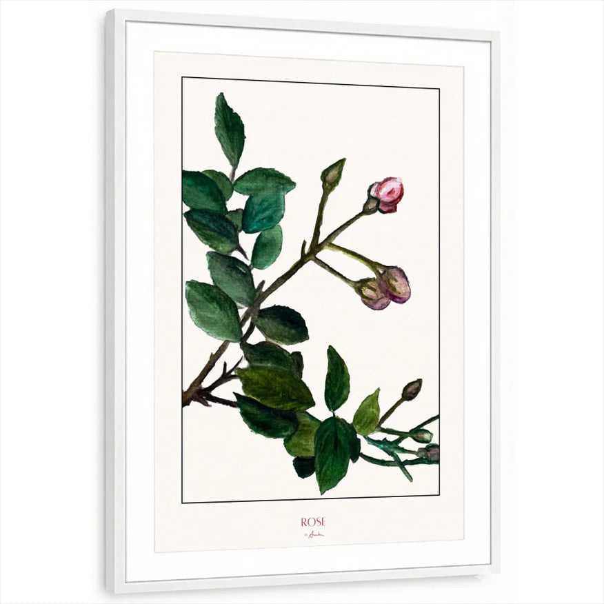 framed-print-white-matted