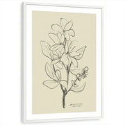 framed-print-white-matted