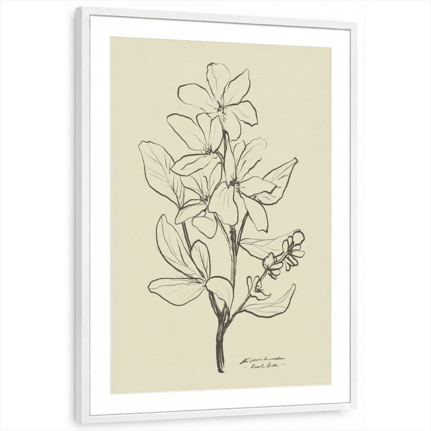 framed-print-white-matted