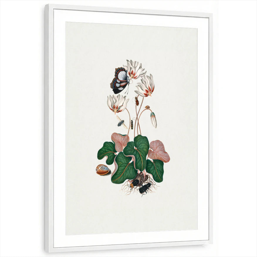 framed-print-white-matted