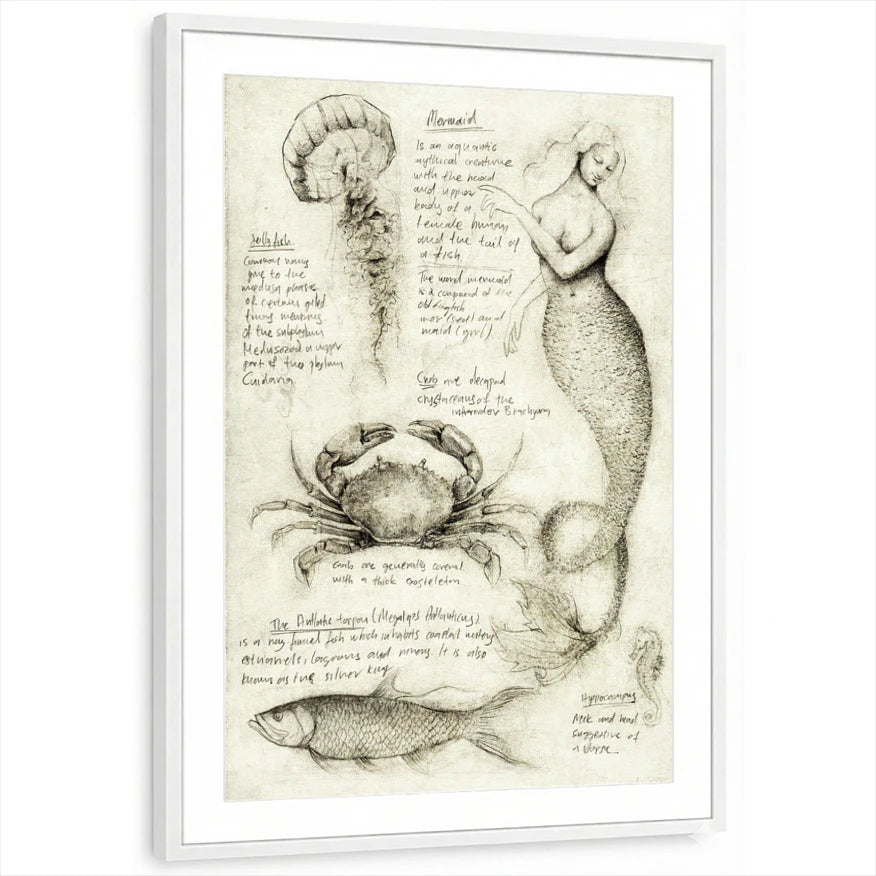 framed-print-white-matted