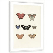 framed-print-white-matted